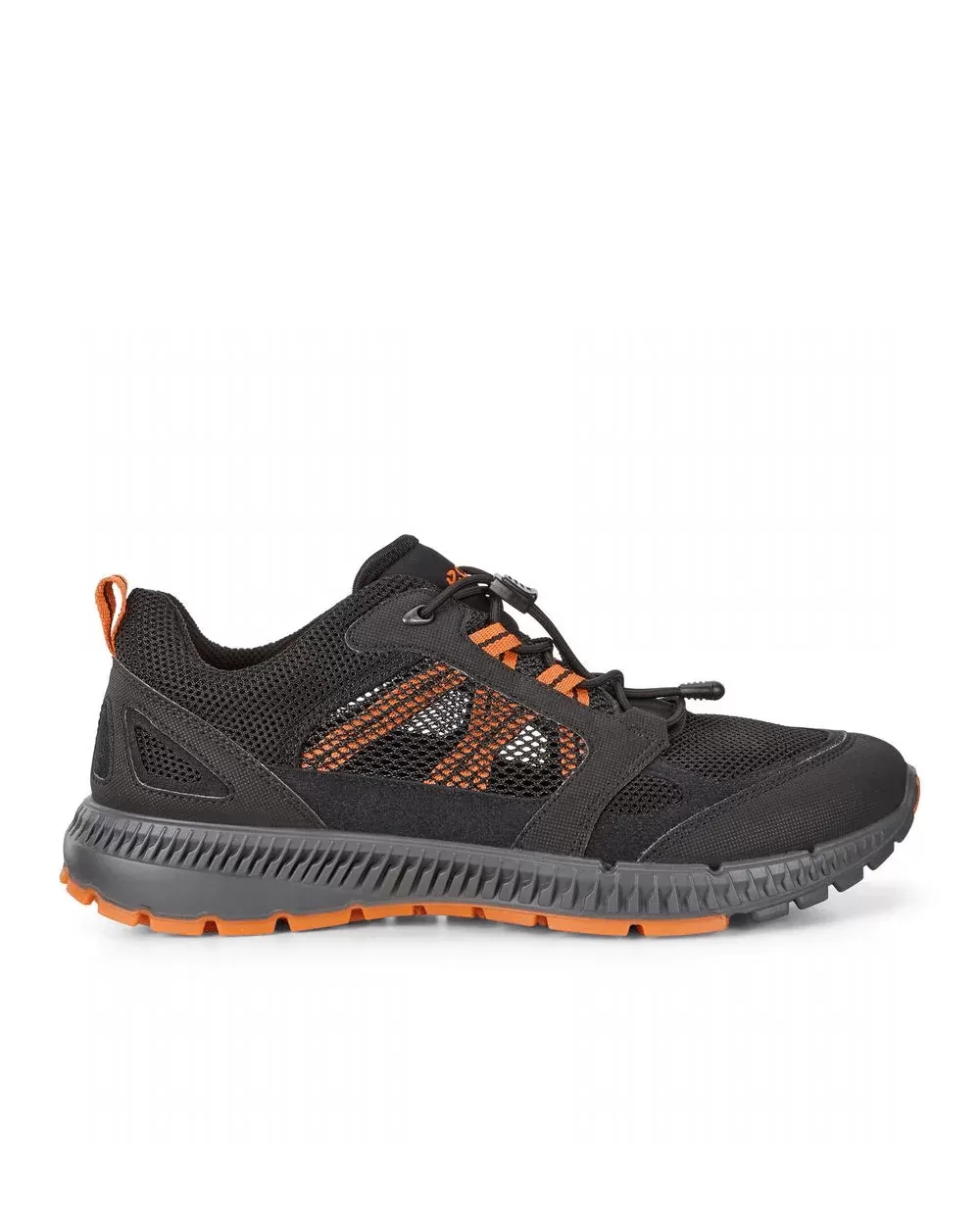 Ecco Terracruise II Men Hiking Shoes