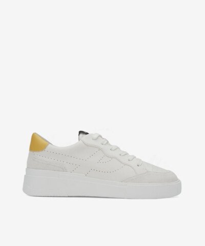 Ash Eco-Friendly Free Low-Top Sneakers