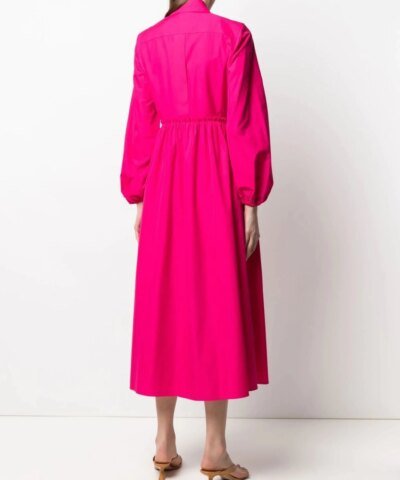 Max Mara Bairo Poplin Dress