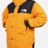The North Face Men's Mountain Down Jacket Gore-Tex