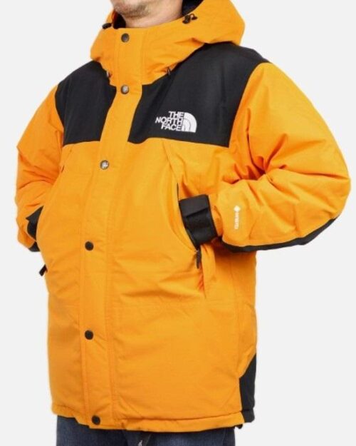 The North Face Men's Mountain Down Jacket Gore-Tex