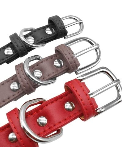 Personalized Leather Dog ID Collar