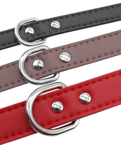 Personalized Leather Dog ID Collar