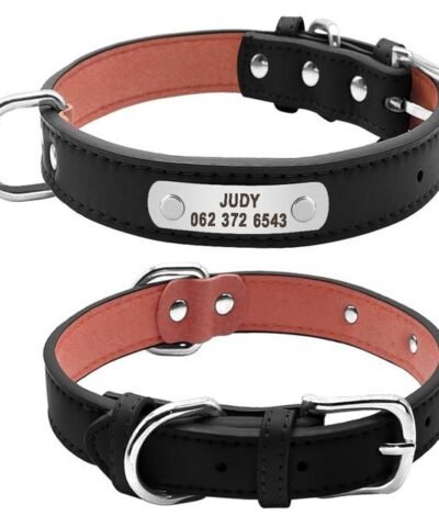 Personalized Leather Dog ID Collar