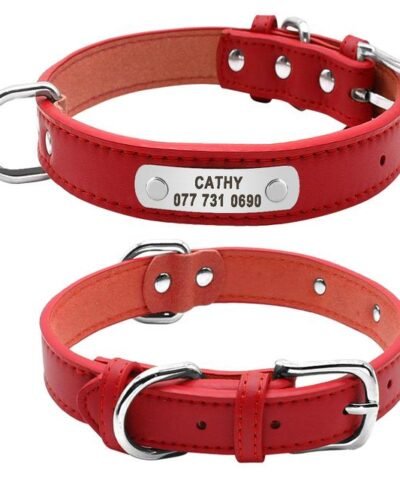 Personalized Leather Dog ID Collar