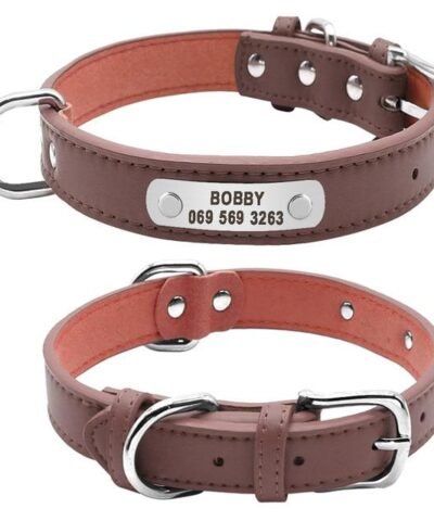 Personalized Leather Dog ID Collar
