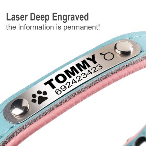 Leather Puppy Cat Pet Collars ID Tag