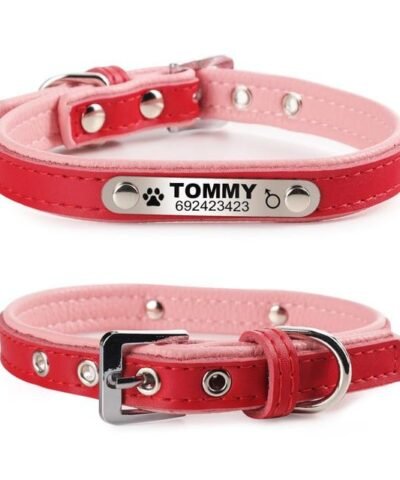 Leather Puppy Cat Pet Collars ID Tag