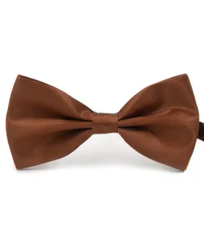Men's Classic Satin Bowtie