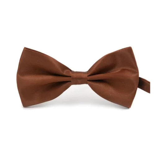 Men's Classic Satin Bowtie