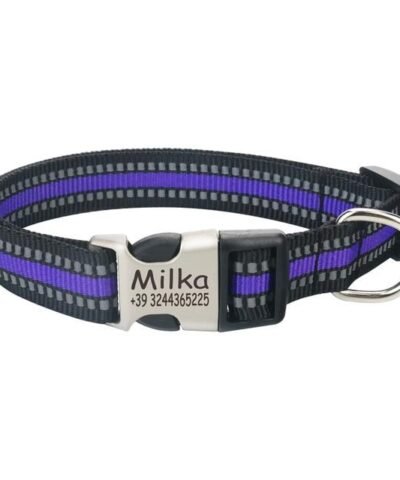 Reflective Nylon Personalized Engraved Dog Collar With ID