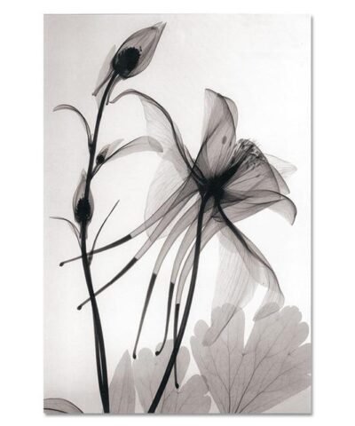 Modern Minimalist Print Poster Wall Art