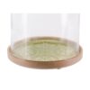 Zuo Glass Dome Large Green