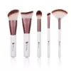 Contour Highlight Eyeshadow With Fan Makeup Brushes Portable Cosmetic Tools Kit