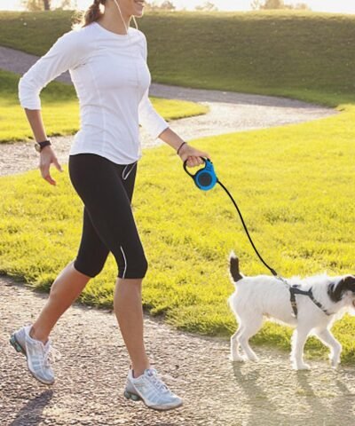 Flexi Retractable Dog Leash, 10 Ft, 16 Ft