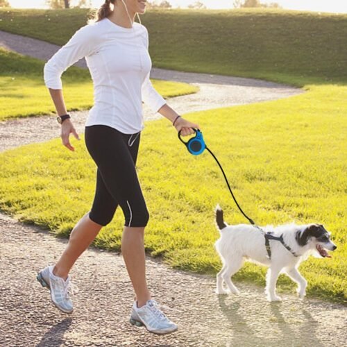 Flexi Retractable Dog Leash, 10 Ft, 16 Ft