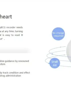 Pelvifine Portable Mini Wearable electrocardiogram ECG Monitor