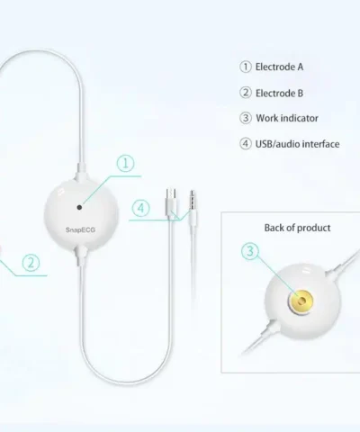 Pelvifine Portable Mini Wearable electrocardiogram ECG Monitor