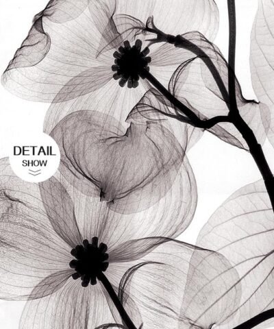 Modern Minimalist Print Poster Wall Art