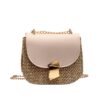 Women's Straw Flap Crossbody Bag