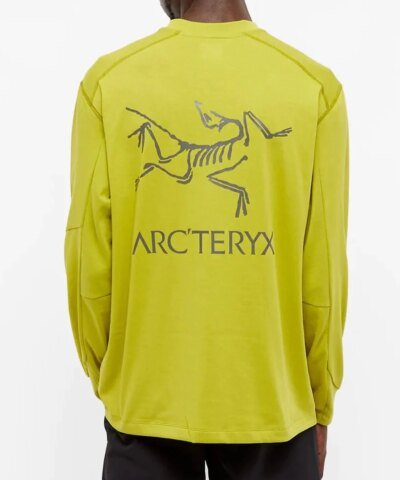 Arc’teryx System A / Copal Long Sleeve Bird Tee Terrarium