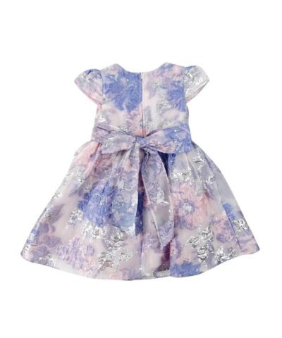 Rare Editions Toddler Girls Floral Burnout Dress