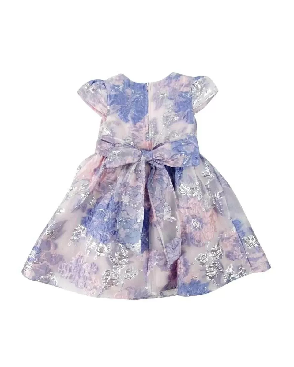 Rare Editions Toddler Girls Floral Burnout Dress