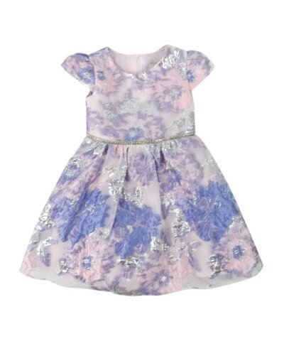 Rare Editions Toddler Girls Floral Burnout Dress