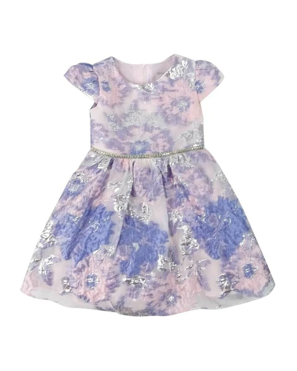Rare Editions Toddler Girls Floral Burnout Dress