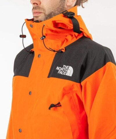 The North Face Men's Mountain Down Jacket Gore-Tex