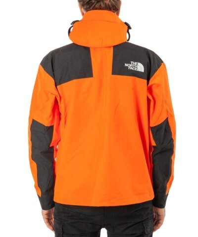 The North Face Men's Mountain Down Jacket Gore-Tex