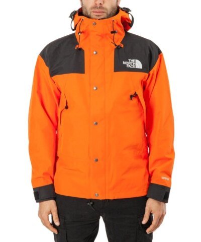 The North Face Men's Mountain Down Jacket Gore-Tex