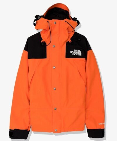 The North Face Men's Mountain Down Jacket Gore-Tex