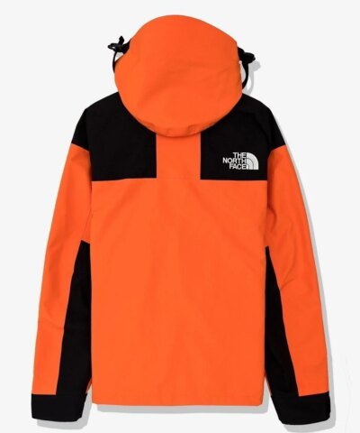 The North Face Men's Mountain Down Jacket Gore-Tex