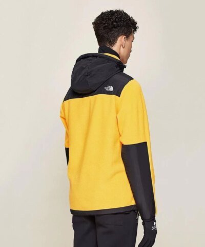 The North Face Men's Denali Hoodie Fleece Jacket