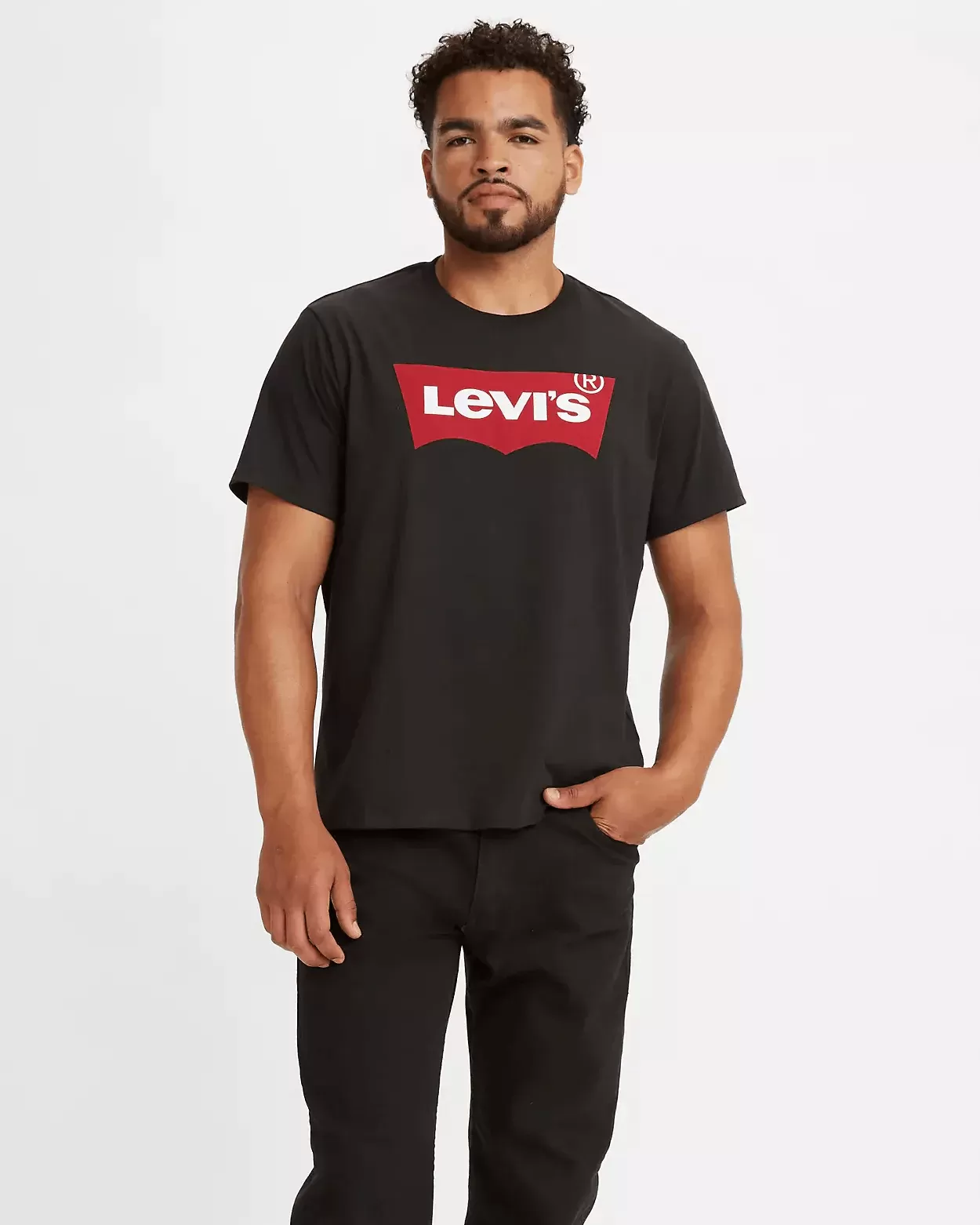 Levi's Men's Batwing Perfect Graphic Logo T-shirt