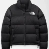 Recycled TNF Black