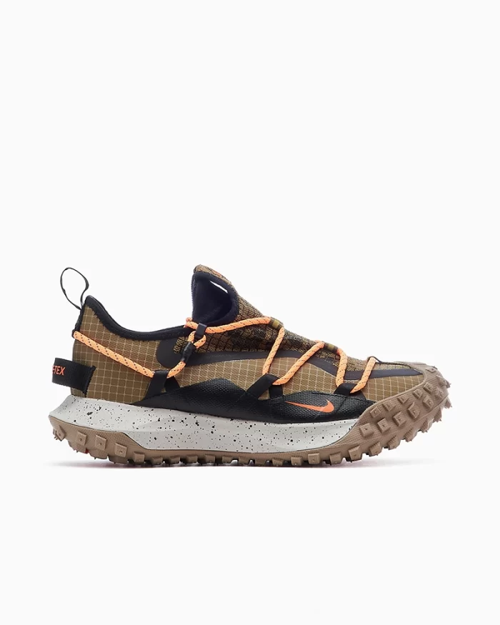 Nike ACG Mountain Fly Low SE Shoes